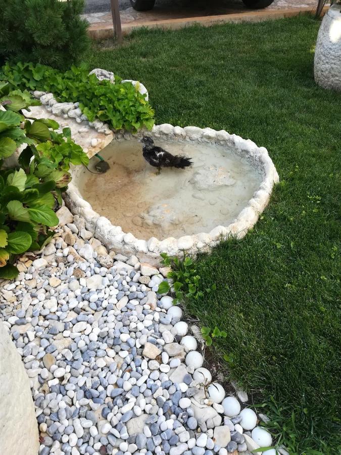 Apartmani Villa Otilija Poreč Eksteriør bilde